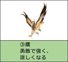 風水開運花文字絵柄一例「鷹」画像