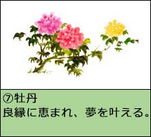 風水開運花文字絵柄一例「牡丹」画像