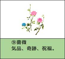 風水開運花文字絵柄一例「薔薇」画像