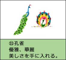 風水開運花文字絵柄一例「孔雀」画像